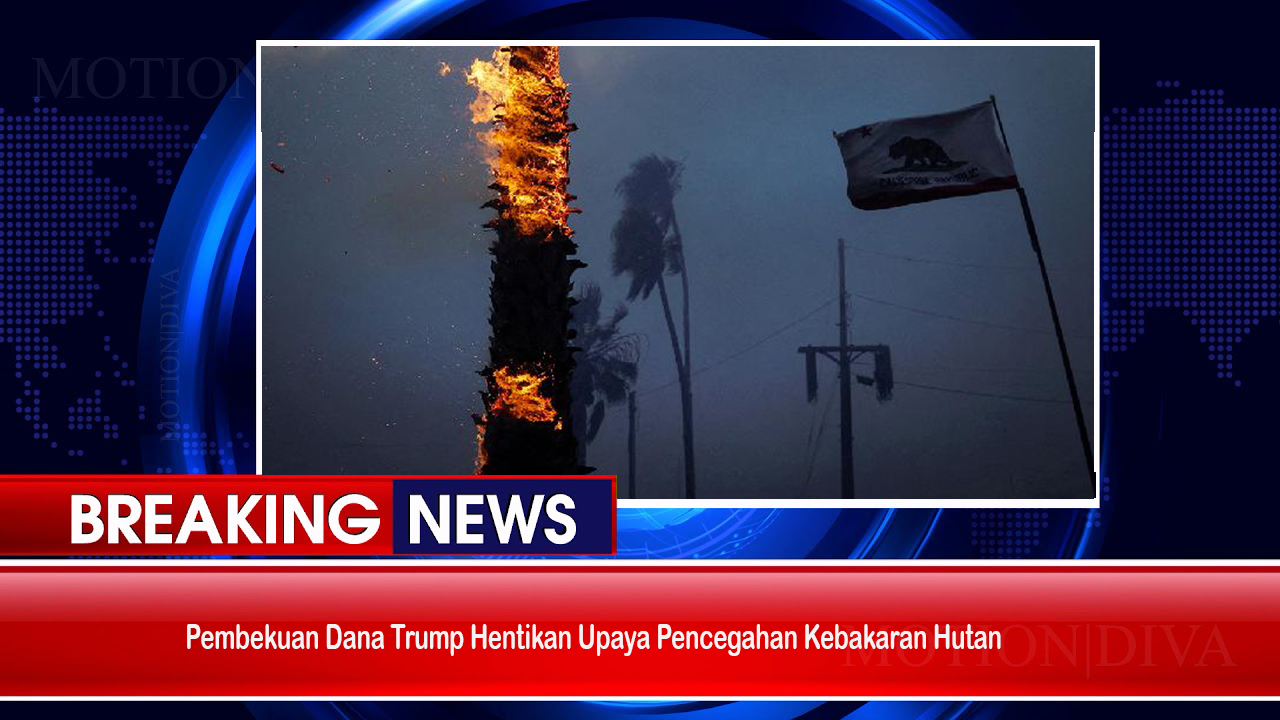 Pembekuan Dana Trump Hentikan Upaya Pencegahan Kebakaran Hutan