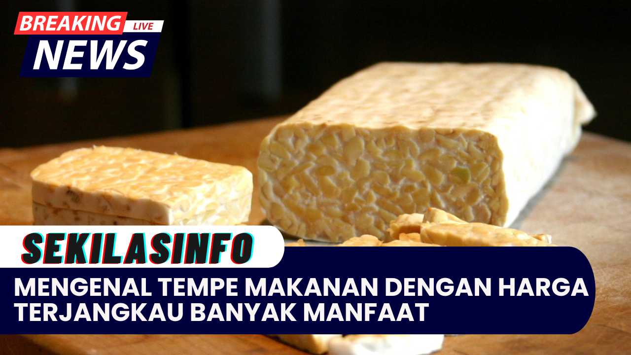 Mengenal Tempe: Makanan dengan Harga Terjangkau, Banyak Manfaat untuk Generasi Emas